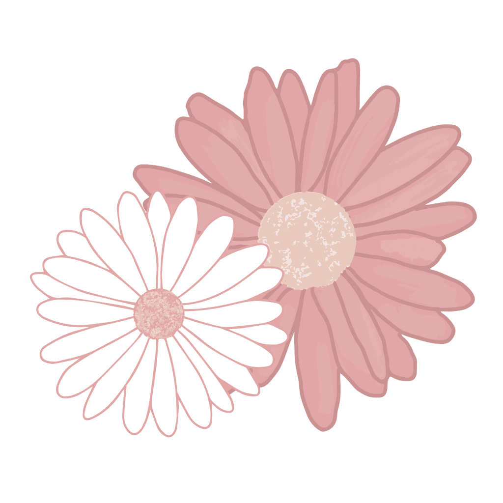 Plain Talk Pregnancy icon: one small white daisy nestled into a larger pink daisy