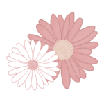 Plain Talk Pregnancy icon: one small white daisy nestled into a larger pink daisy