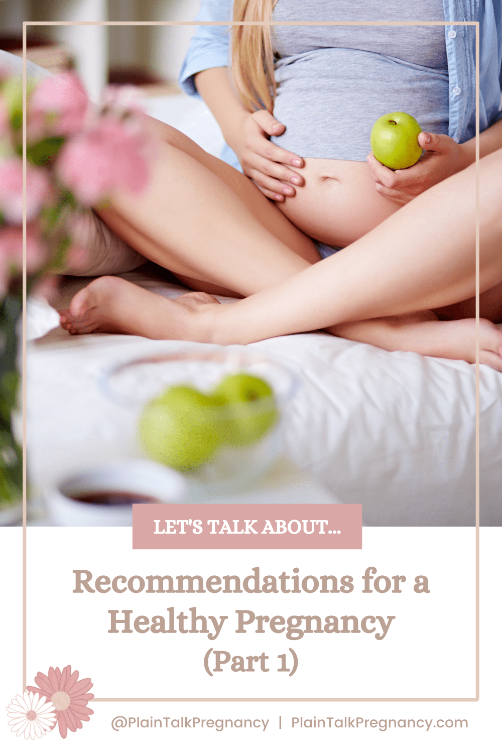Let's talk about Recommendations for a Healthy Pregnancy - PlainTalkPregnancy.com
